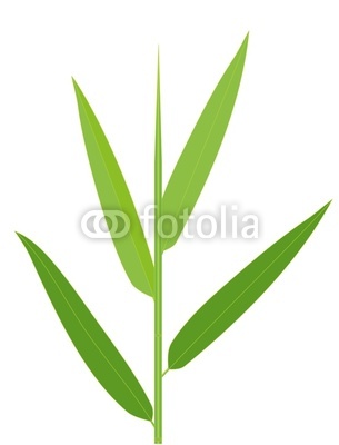 Bamboo Leaf Clipart Bamboo Leaf