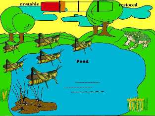 Forest Habitat Clipart Example Of A Pond Habitat In