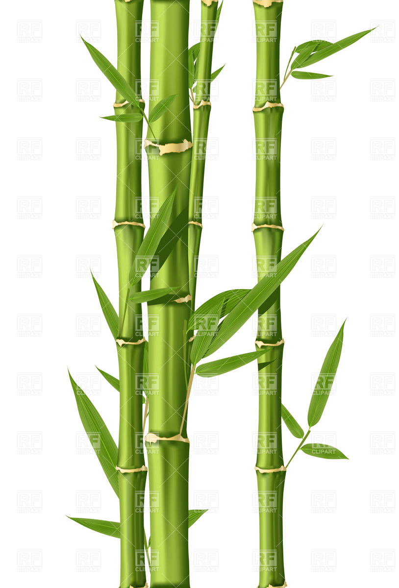 Green Bamboo Stems 4743 Plants And Animals Download Royalty Free