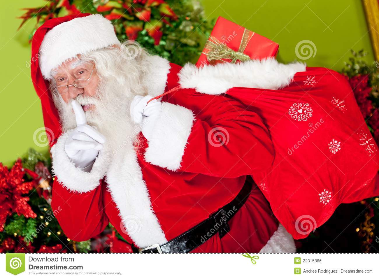 Santa Breaking In Royalty Free Stock Image   Image  22315866