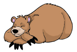 There Is 38 Bear Hibernate Black White Free Cliparts All Used For Free