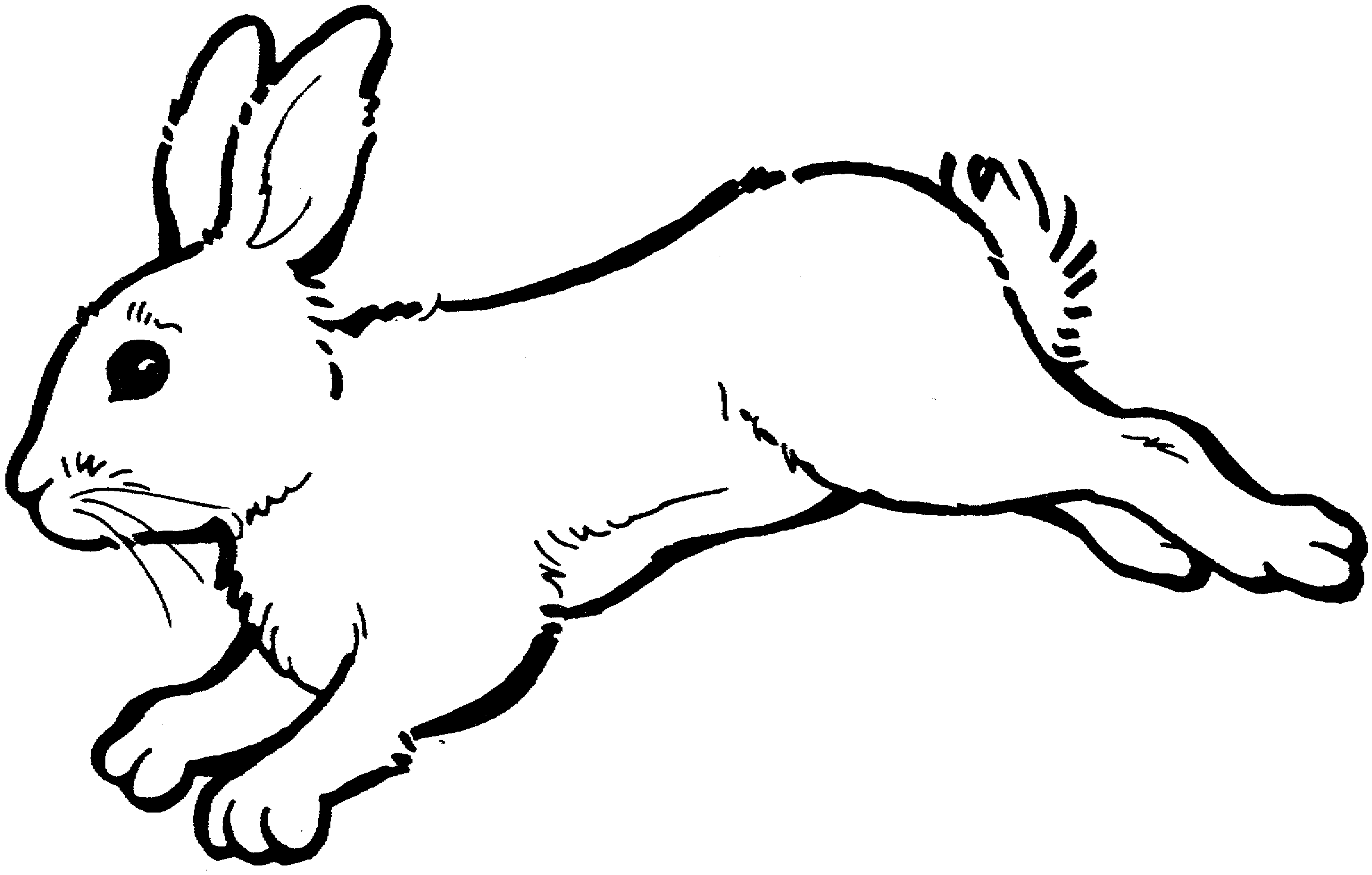 Bunny Clipart Black And White   Clipart Panda   Free Clipart Images