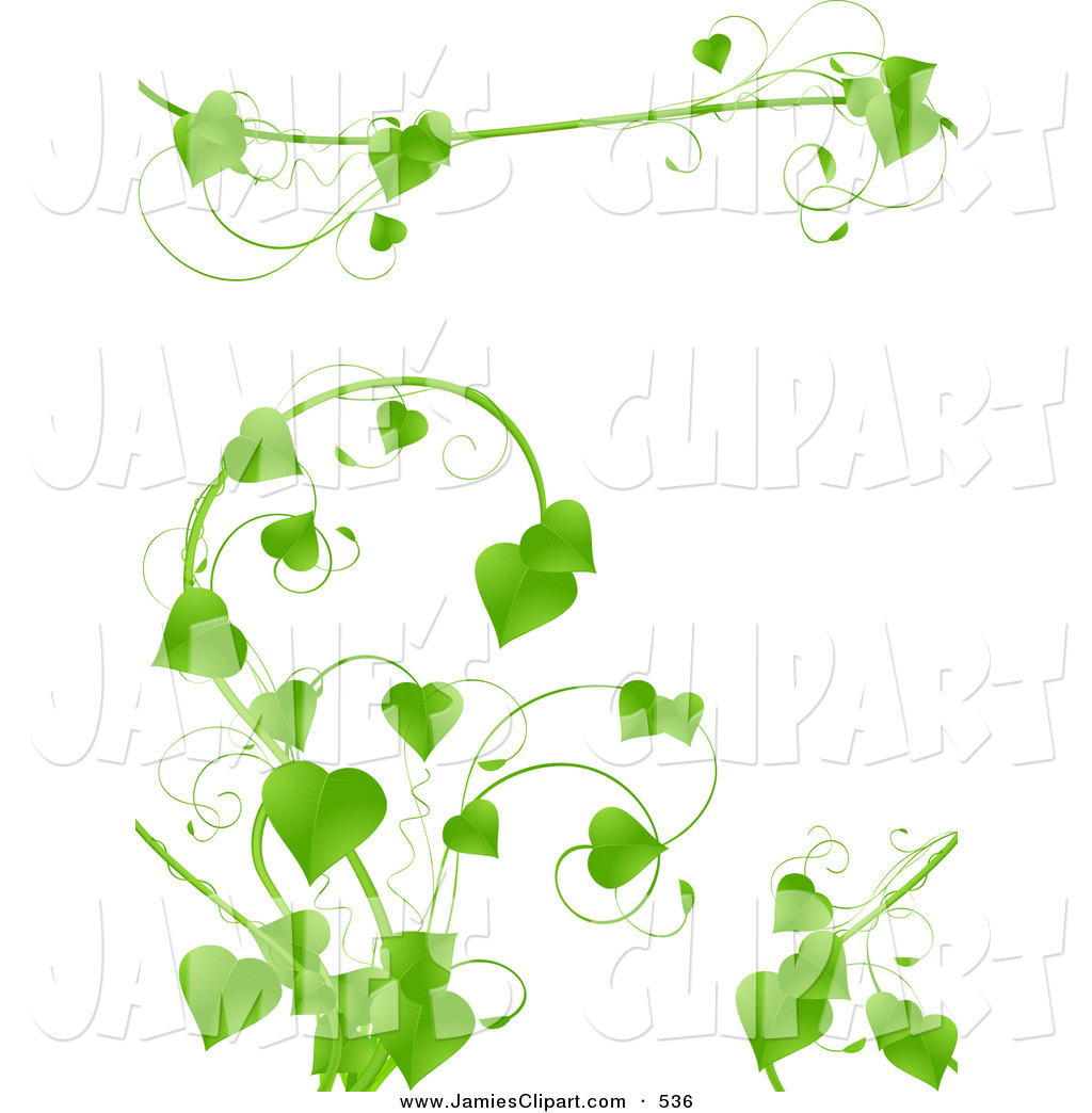 Clip Art Of A Lush Green Vine With Heart Shaped Leaves Growing On A