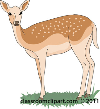 Deer Clipart   Deer Color 04 112   Classroom Clipart
