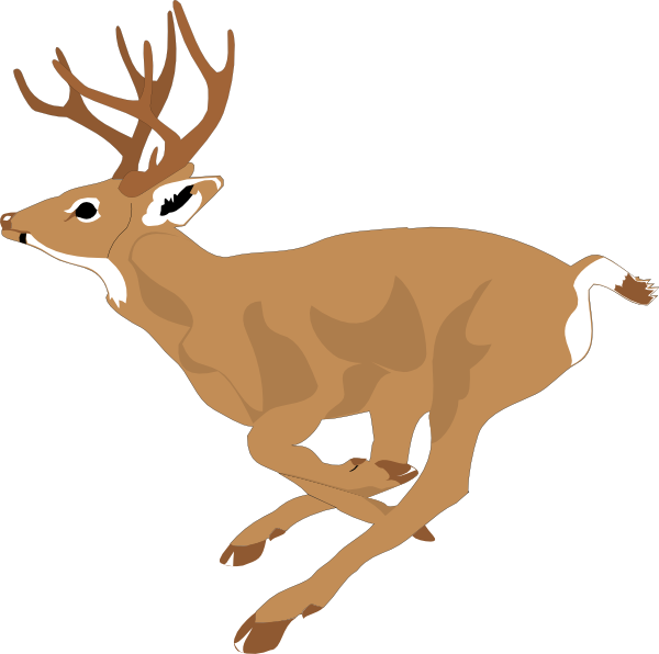 Deer Running Fast Clip Art At Clker Com   Vector Clip Art Online