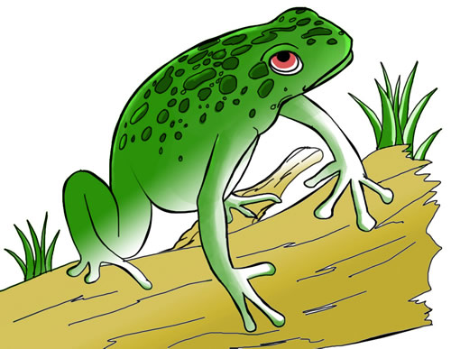 Frog Cliip Art 13   Clipart Panda   Free Clipart Images
