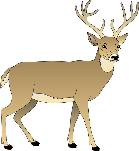 Male Deer Clip Art At Clker Com   Vector Clip Art Online Royalty Free