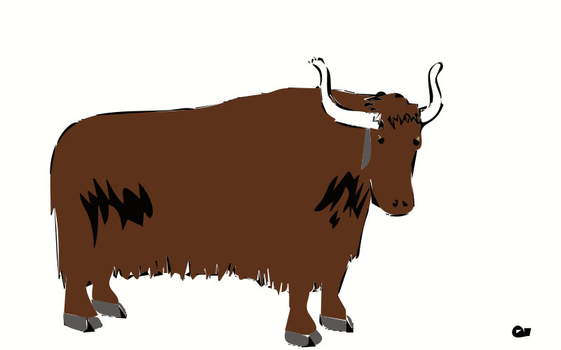 New Yak By Jimtwamley   The Yak Is A Long Haired Bovid Found