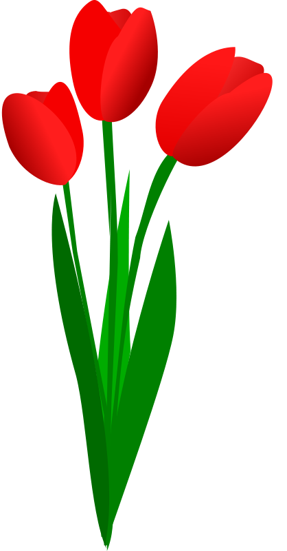 Tulip Clip Art   Images   Free For Commercial Use