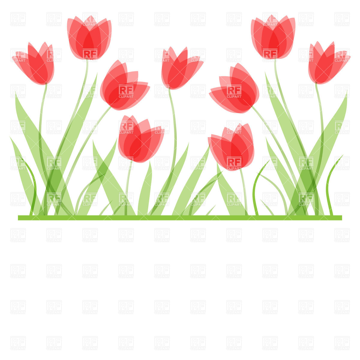 Tulip Flowers Download Royalty Free Vector Clipart  Eps