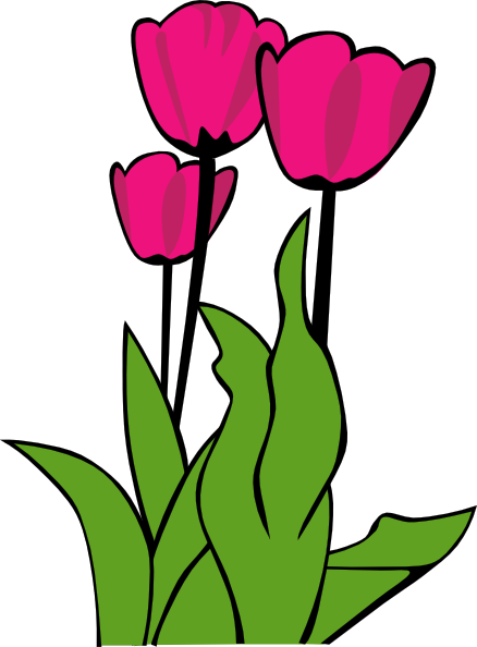 Tulips In Bloom Clip Art At Clker Com   Vector Clip Art Online