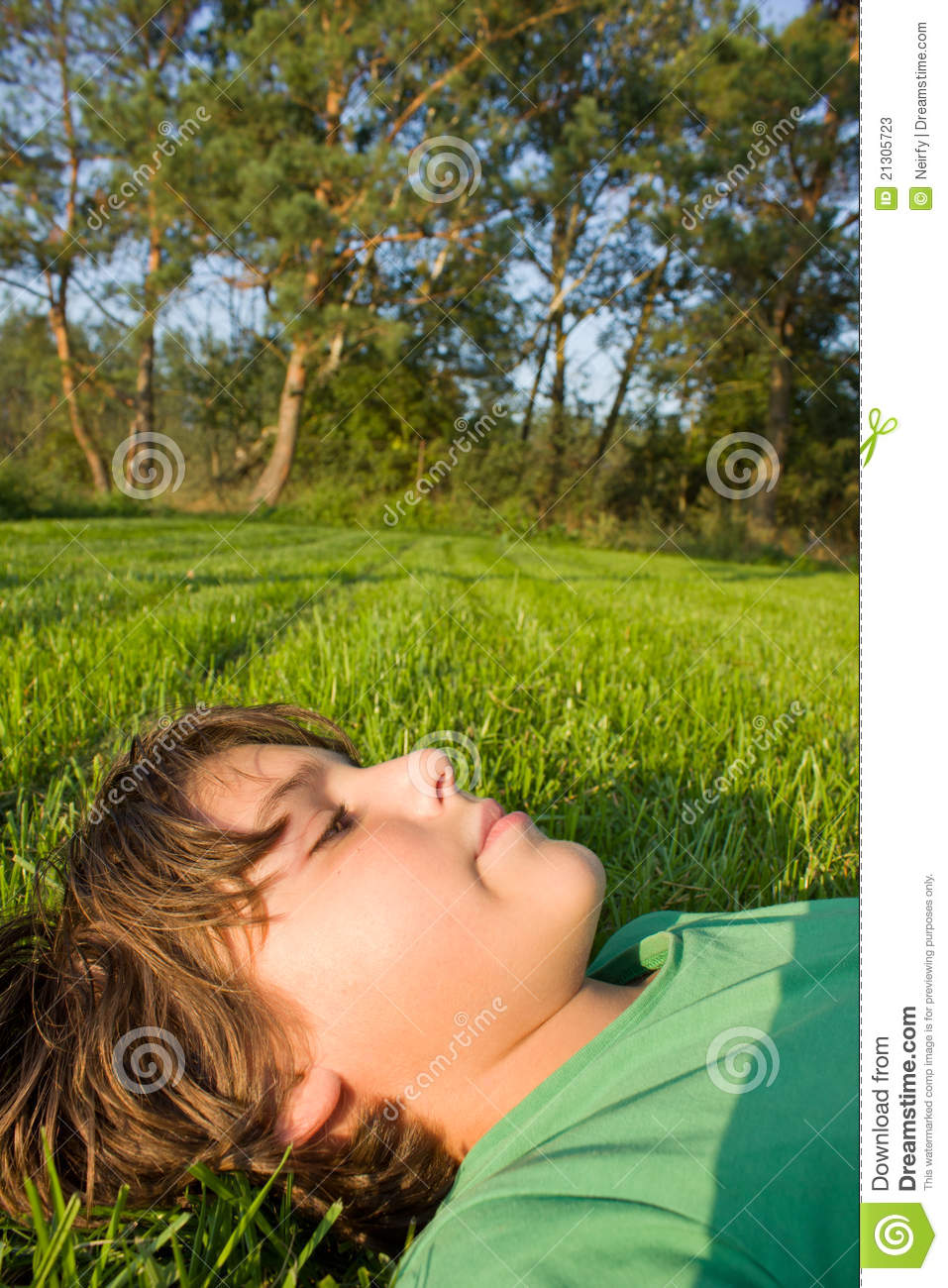 Boy Relaxing On Grass Stock Photos   Image  21305723