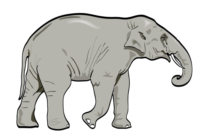 Free White Elephant Clip Art Elephant Outline Template Clip Art