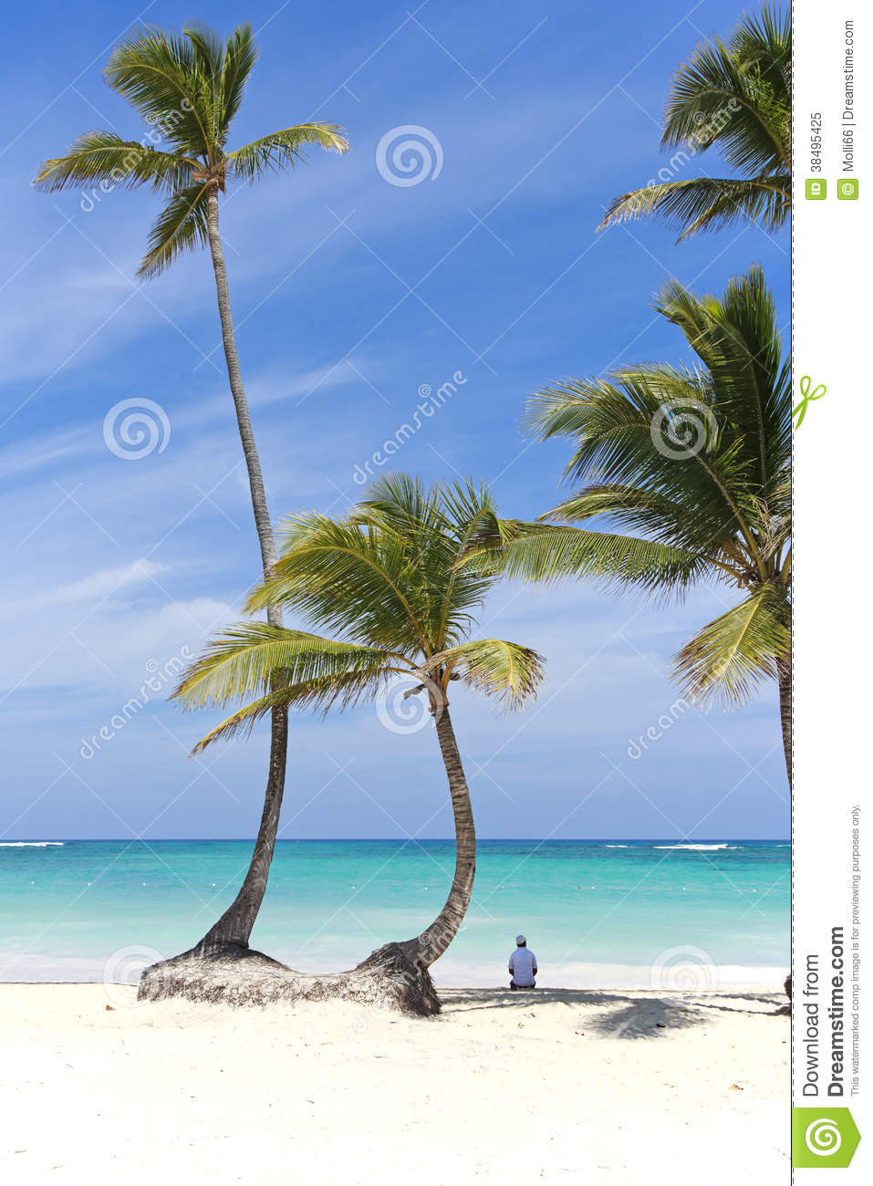 Man Sitting In The Shade Of Some Palm Trees On A Caribbean Beach In    