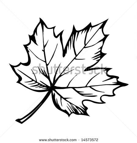 Maple Leaf Clipart Black And White   Clipart Panda   Free Clipart