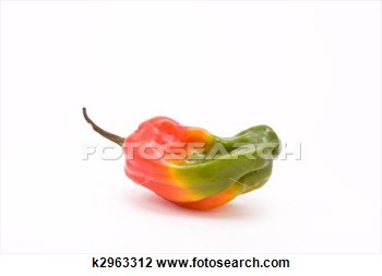 Stock Photo   Jamaican Flag Chilli  Fotosearch   Search Stock Photos