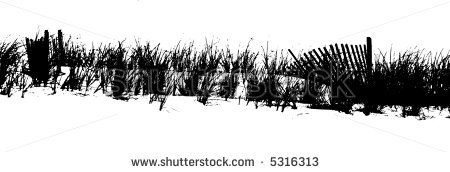 Vectored Image Of Sea Oats At Beach Stock Vector Illustration 5316313