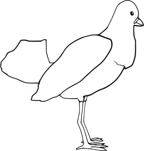 Bird  Outline  Clip Art   Animal   Download Vector Clip Art Online