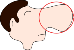 Clipart Nose