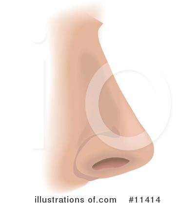 Nose Smell Clipart Royalty Free  Rf  Nose    