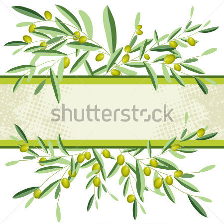 Olive And Olive Tree Branches Jpg