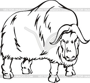 Ox Clipart Black And White Musk Ox Vector