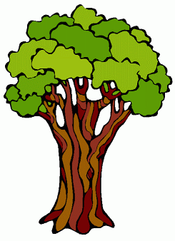 Temperate Forest Trees Clipart