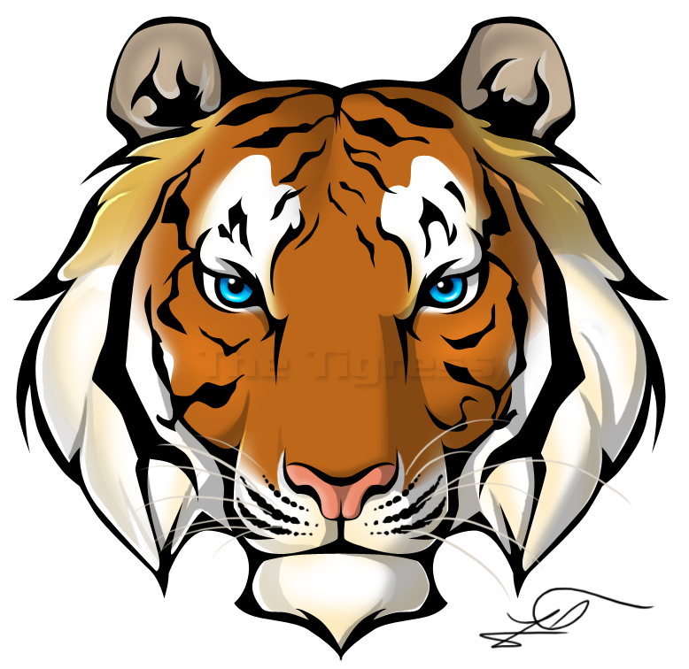 Tiger Face Png Awesome Color   Clipart Panda   Free Clipart Images