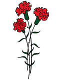 180 Carnations Stock Illustrations Vectors   Clipart   Dreamstime