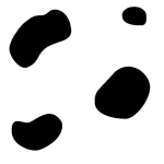 Black And White Cow Spot Background   Black And White Cow Spot