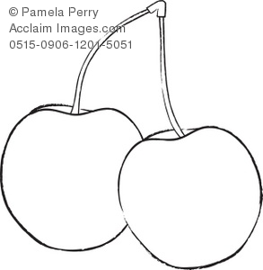 Clip Art Illustration Of Bing Cherries   Acclaim Stock Photography