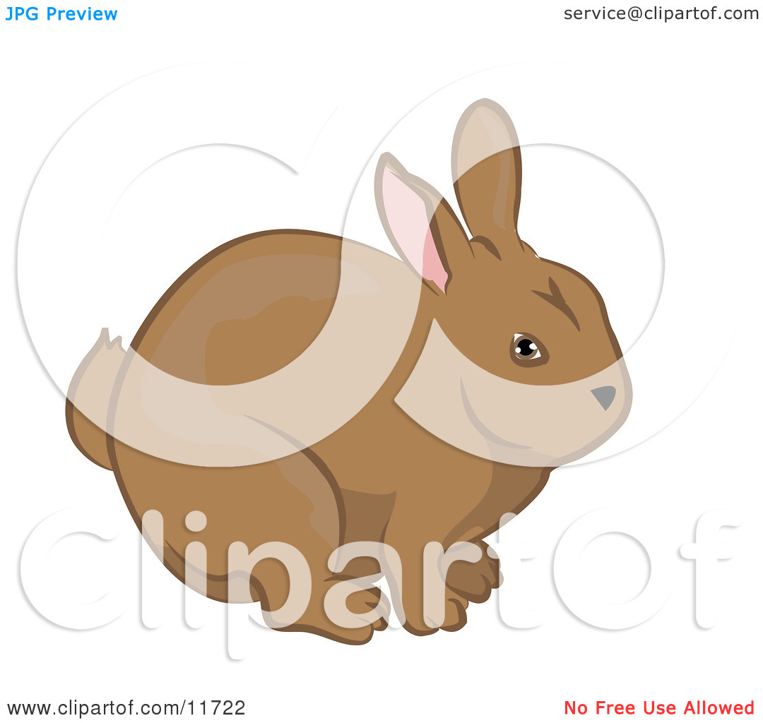 Cute Brown Bunny Rabbit Clipart Illustration By Geo Images