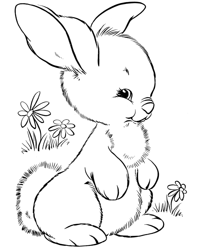 Cute Bunny Drawing   Clipart Best