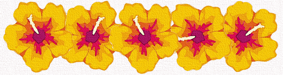 Hibiscus Border By Me From Some Free Clipart  Please To Not Steal It    