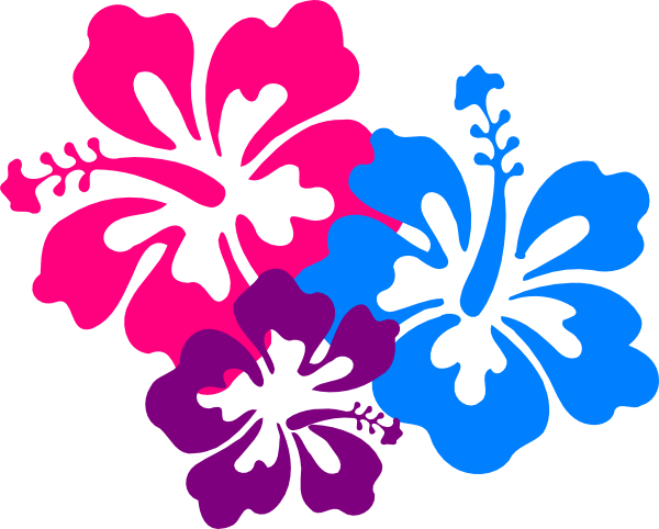 Hibiscus Border Png   Clipart Best