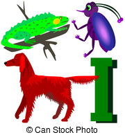 Insect Irish Setter Iguana   Illustrations Of Animals