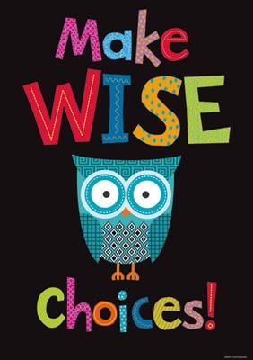 Make Wise Choices  Poster   Owl Theme Classroom   Pinterest
