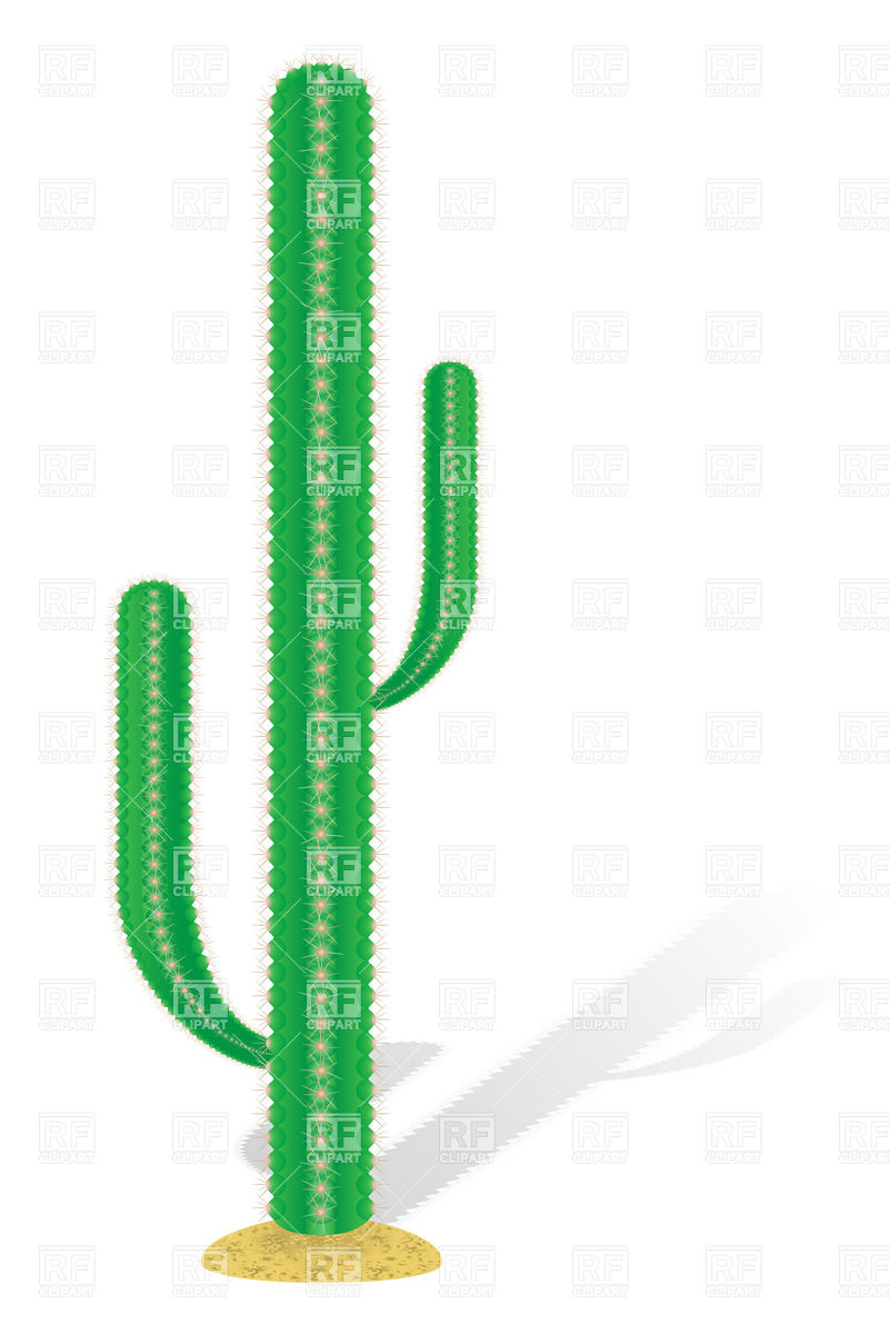 Mexican Cactus Download Royalty Free Vector Clipart  Eps