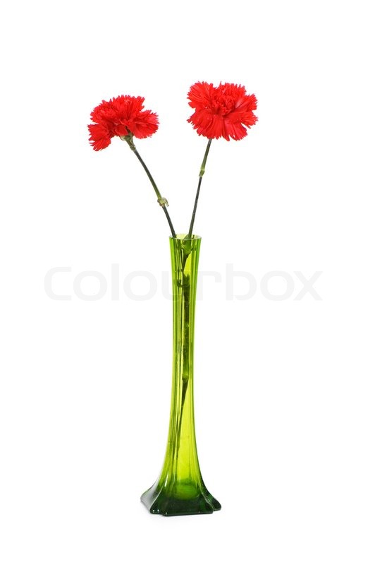 Stock Image Of Two Red Carnations In Green Vase Isolated On White