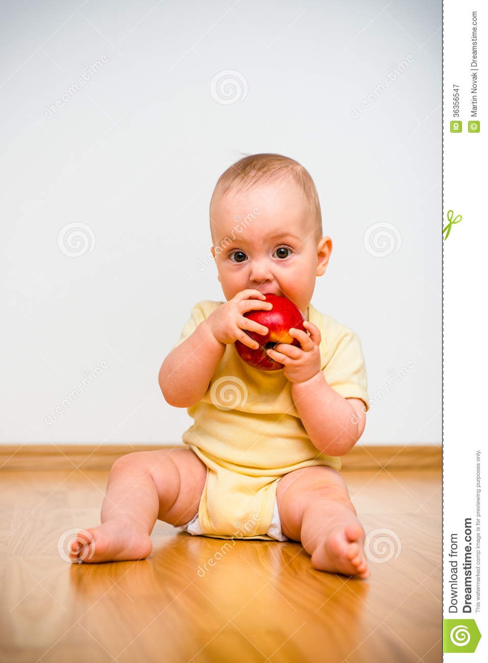 Baby Eating Apple Royalty Free Stock Photography   Image  36356547