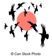 Black Crows Circling In The Sun   Graphic Image Black Crows   