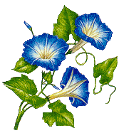 Clipartflowersglories