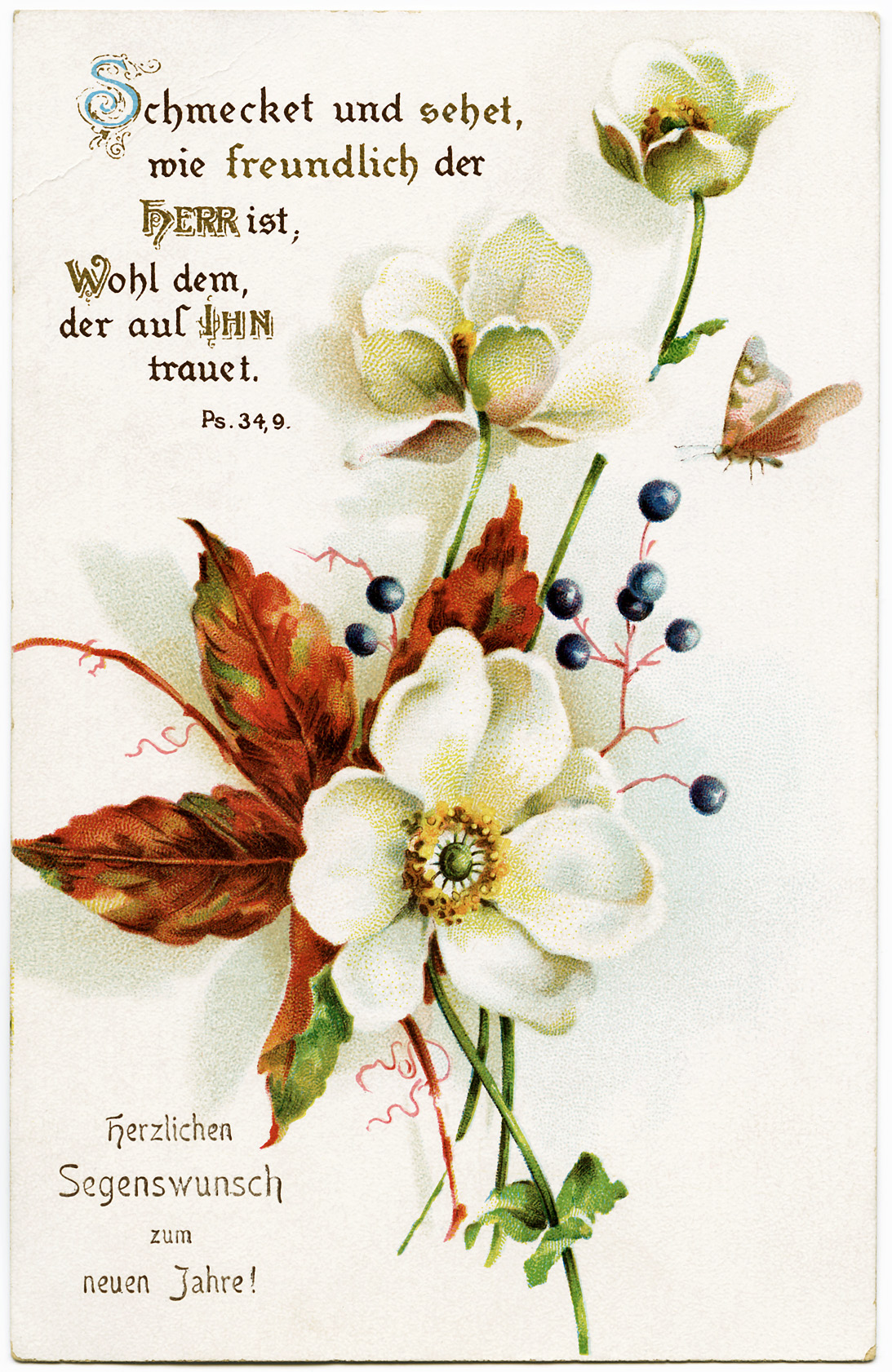 Floral Postcard Fall Colors Floral Postcard Free Digital Clipart