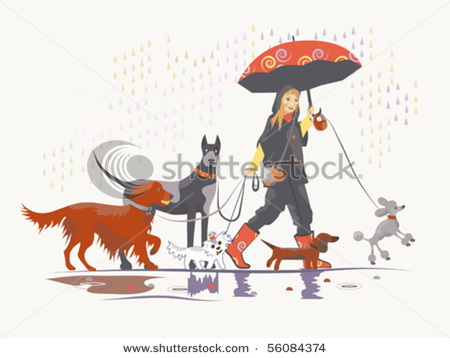 Girl Dog Walker Taking Pack Of Dogs For A Walk    Vector Clip Art