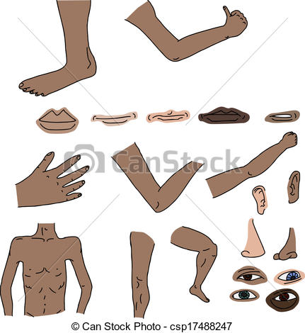   Isolated Human Body Parts Over White    Csp17488247   Search Clip    