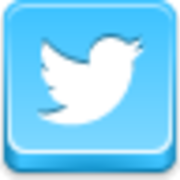 Twitter Bird Icon   Free Images At Clker Com   Vector Clip Art Online    