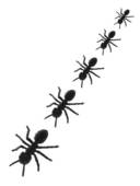Ants Http  Wwwpic2flycom Marching Antshtml Clipart