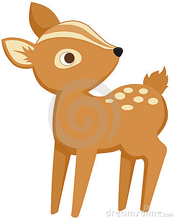 Baby Deer Royalty Free Stock Photos   Image  18878318