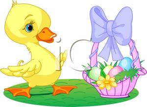 Cartoon Duckling Excited About A Basket Of Colored Eggs   Royalty    