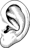 Cartoon Ear Cartoon Ears Clip Art Human Ear Clip Art Cartoon Ear Clip